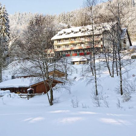 Waldhaus Am See Inklusive Meinecardplus Willingen  Exterior photo