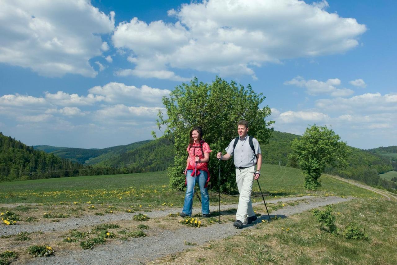 Waldhaus Am See Inklusive Meinecardplus Willingen  Exterior photo